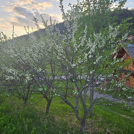 Le Repaire Viking Bed & Breakfast Sainte-Rose-du-Nord Dış mekan fotoğraf